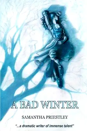 A Bad Winter poster