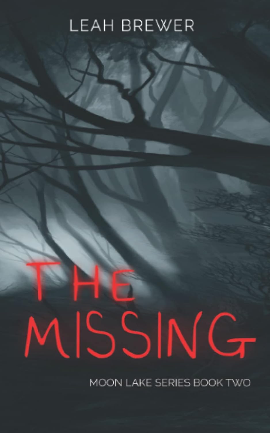 The Missing (Moon Lake Series) poster