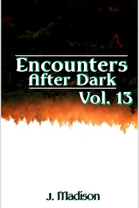 Encounters After Dark: Volume 13 poster