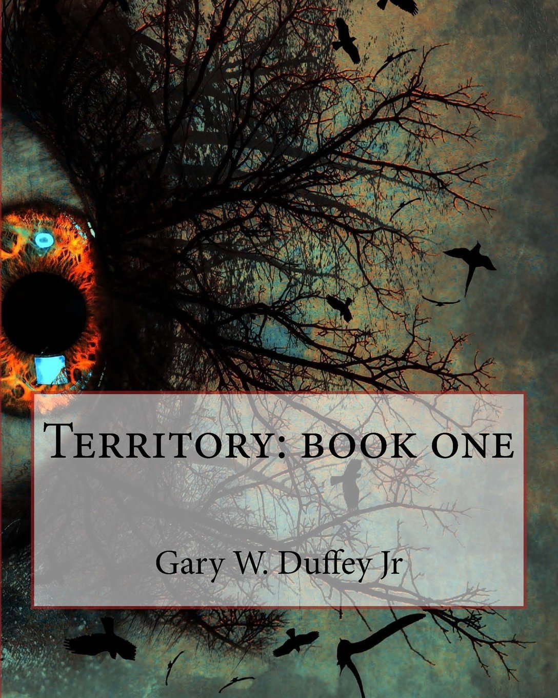 Territory: book one poster