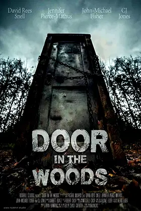 Door in the Woods poster