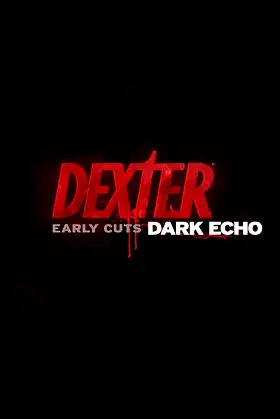 Dark Echo poster