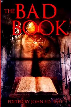 The Bad Book poster