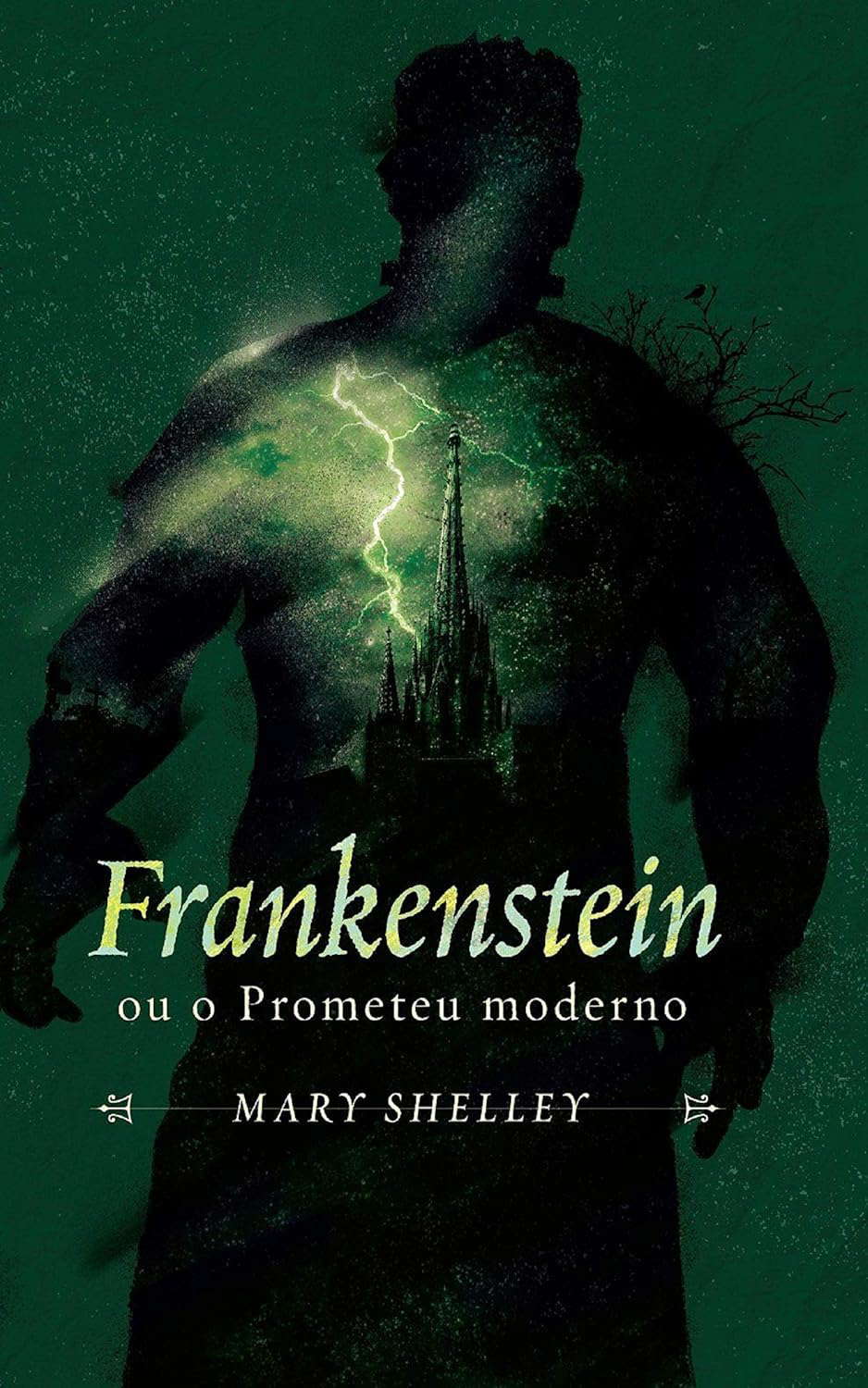 Mary shelly (Annotated): by Frankenstein poster