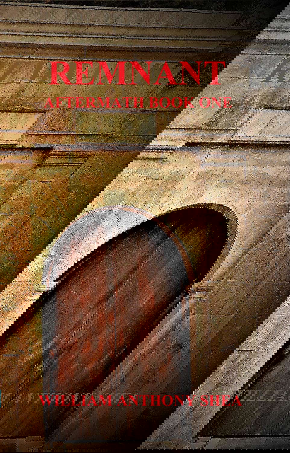 Remnant: Aftermath Book One poster