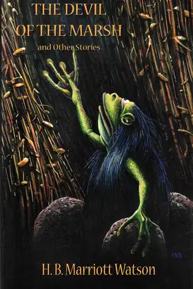 The Devil Of The Marsh And Other Stories poster