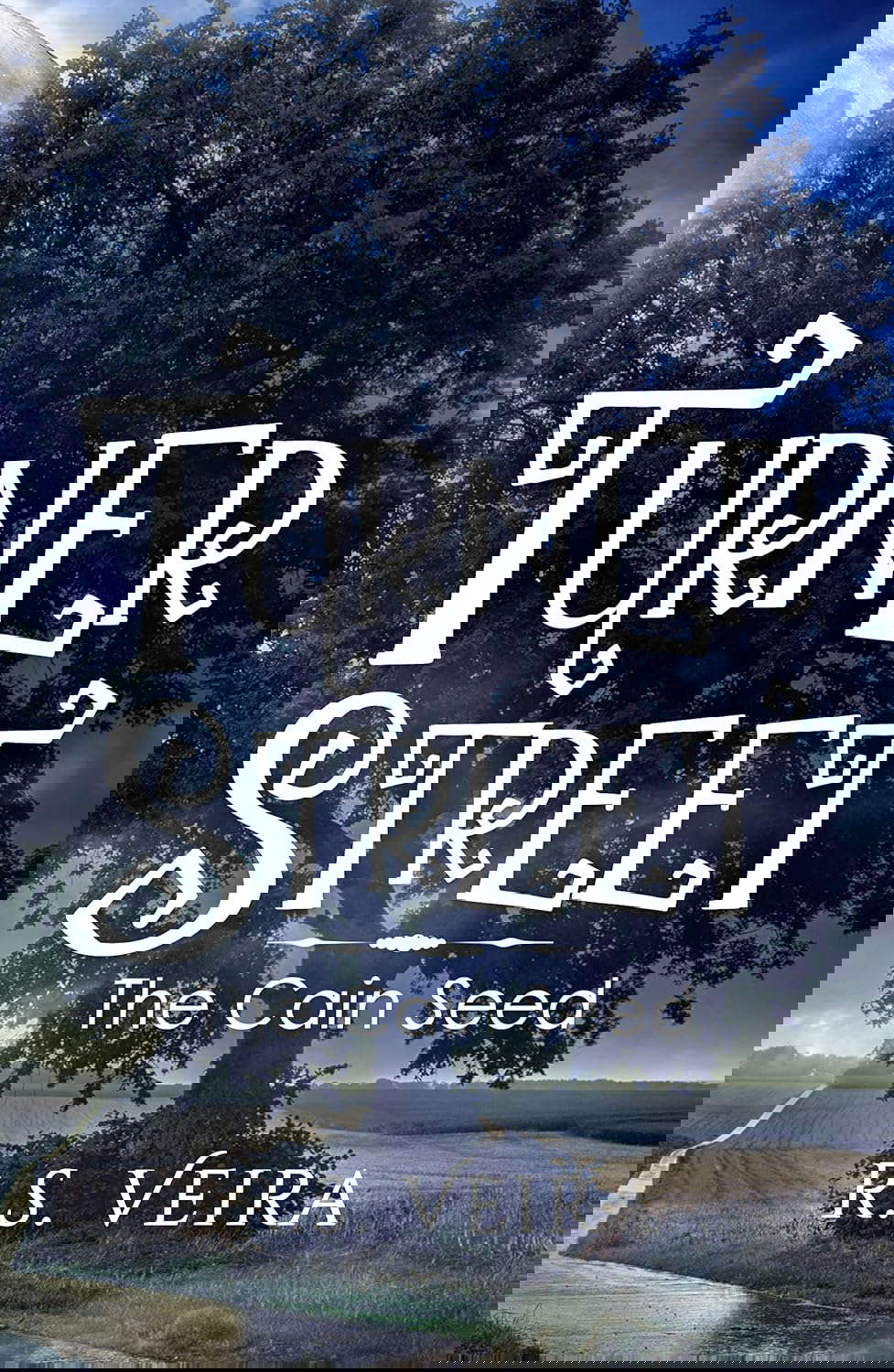 Turner Street: The Cain Seed (Turner Street Chronicles Book 2) poster