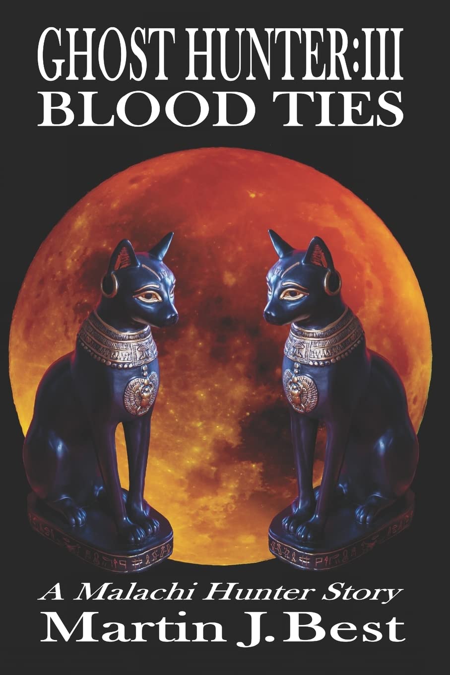 Ghost Hunter: Blood Ties poster