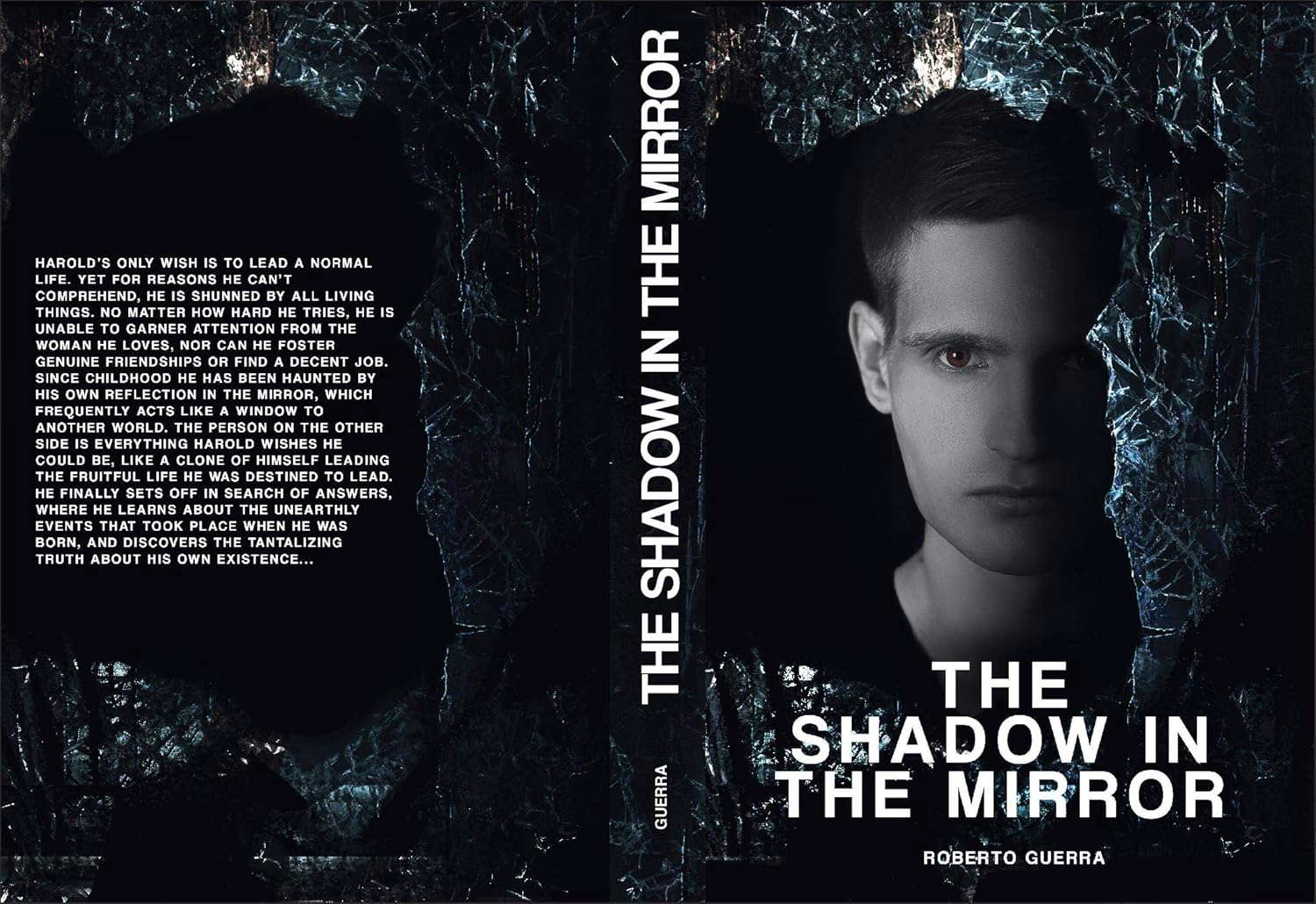 The Shadow in the Mirror poster