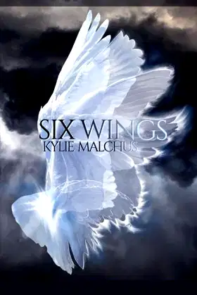 Six Wings poster