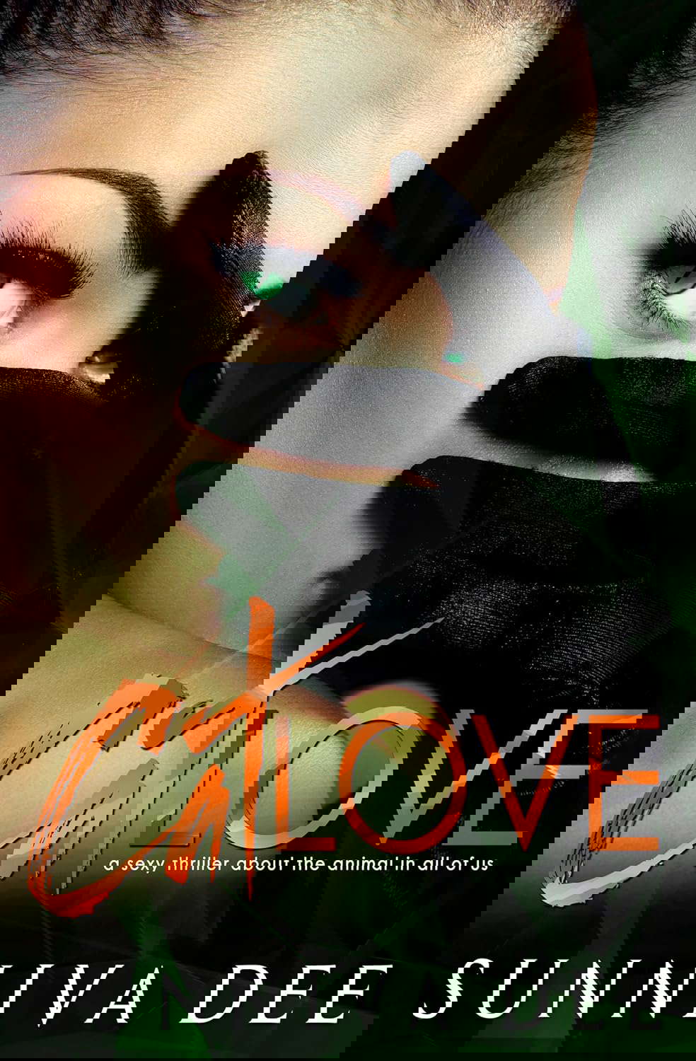 Cat Love poster