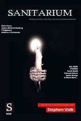Sanitarium Issue #28: Sanitarium Magazine #28 (2014) poster
