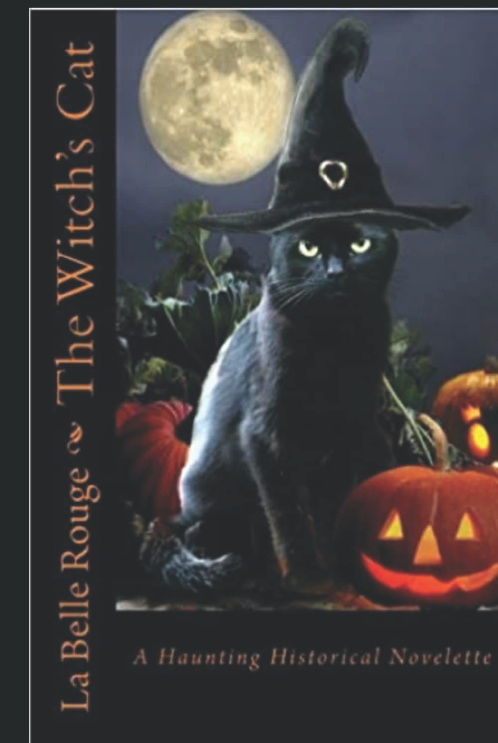 The Witch's Cat: A Haunting Historical Novelette poster
