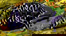 episode poster
