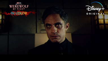 Werewolf by Night in Color | Now Streaming poster