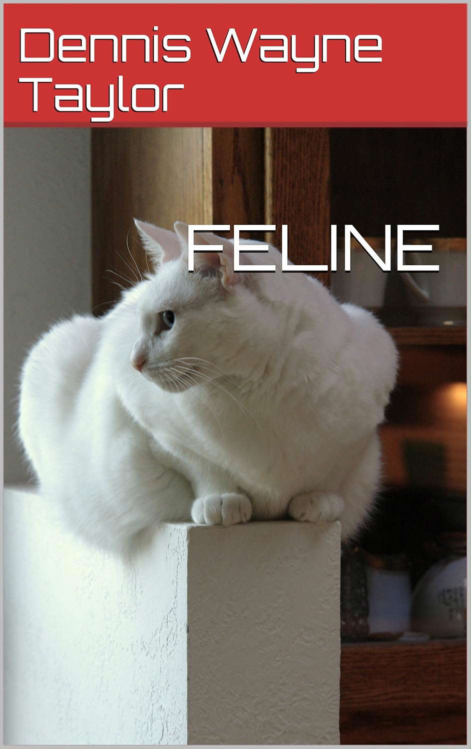 FELINE poster