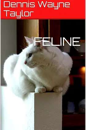 FELINE poster