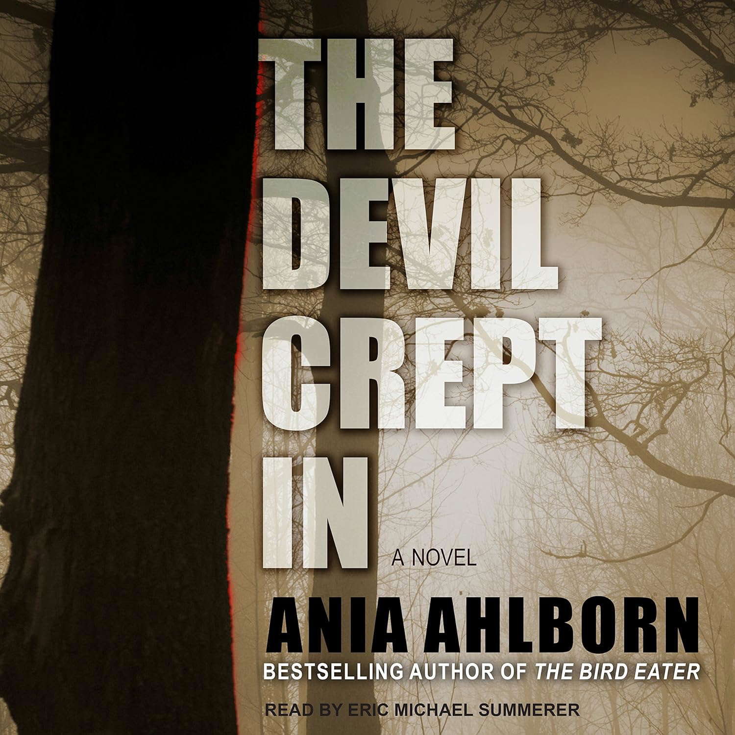 The Devil Crept In poster