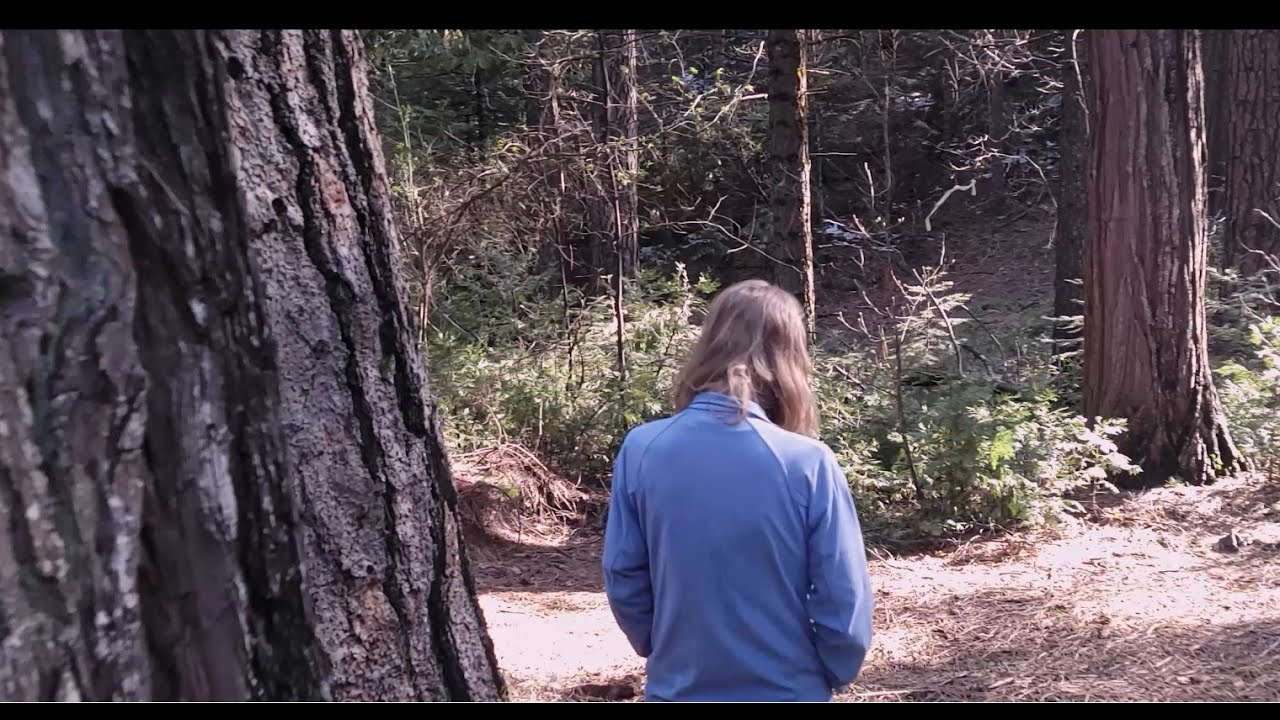Between The Woods - Short Film 2022