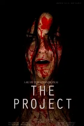 The Project poster