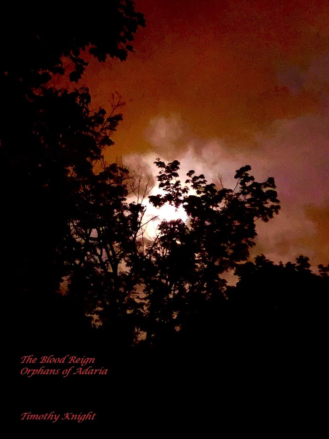 The Blood Reign: Orphans of Adaria poster