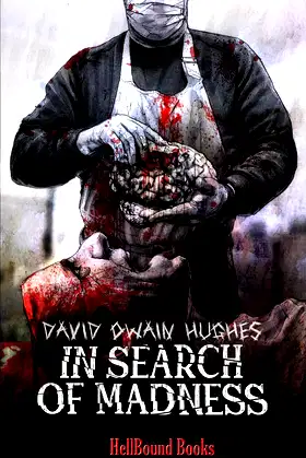 In Search of Madness poster