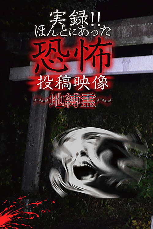 Actual Record! Real Horror Posted Video: Earthbound Spirits poster