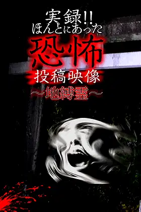 Actual Record! Real Horror Posted Video: Earthbound Spirits poster