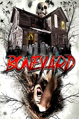 Boneyard poster