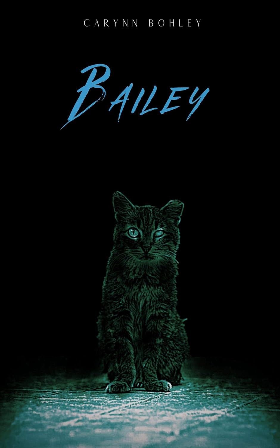 Bailey poster