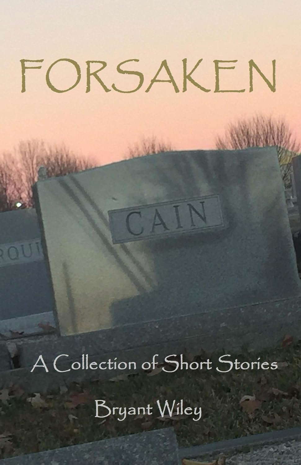 Forsaken: A Collection Of Short Stories poster