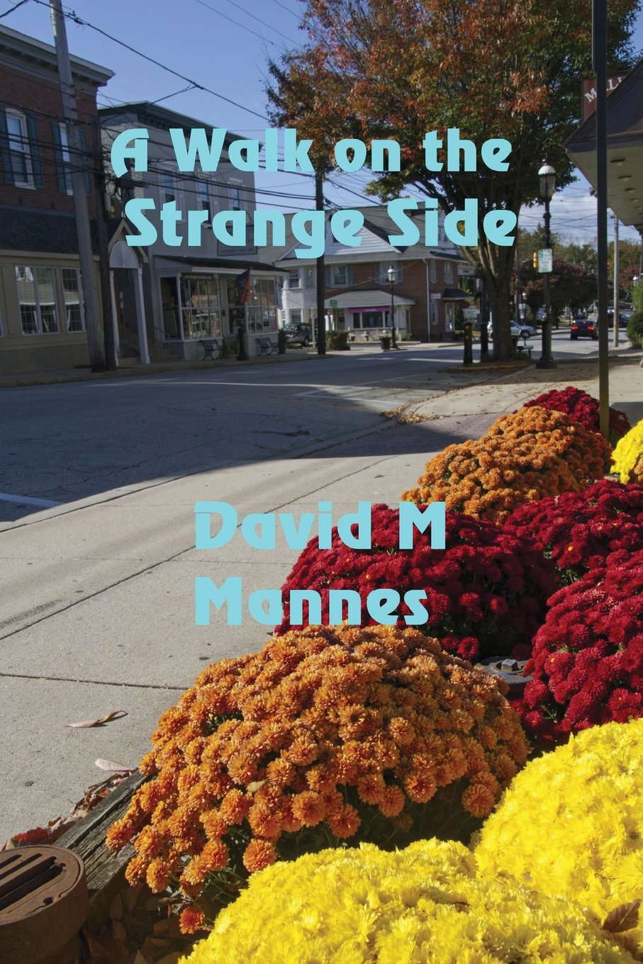 A Walk on the Strange Side poster