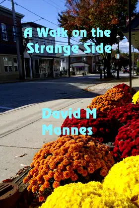 A Walk on the Strange Side poster