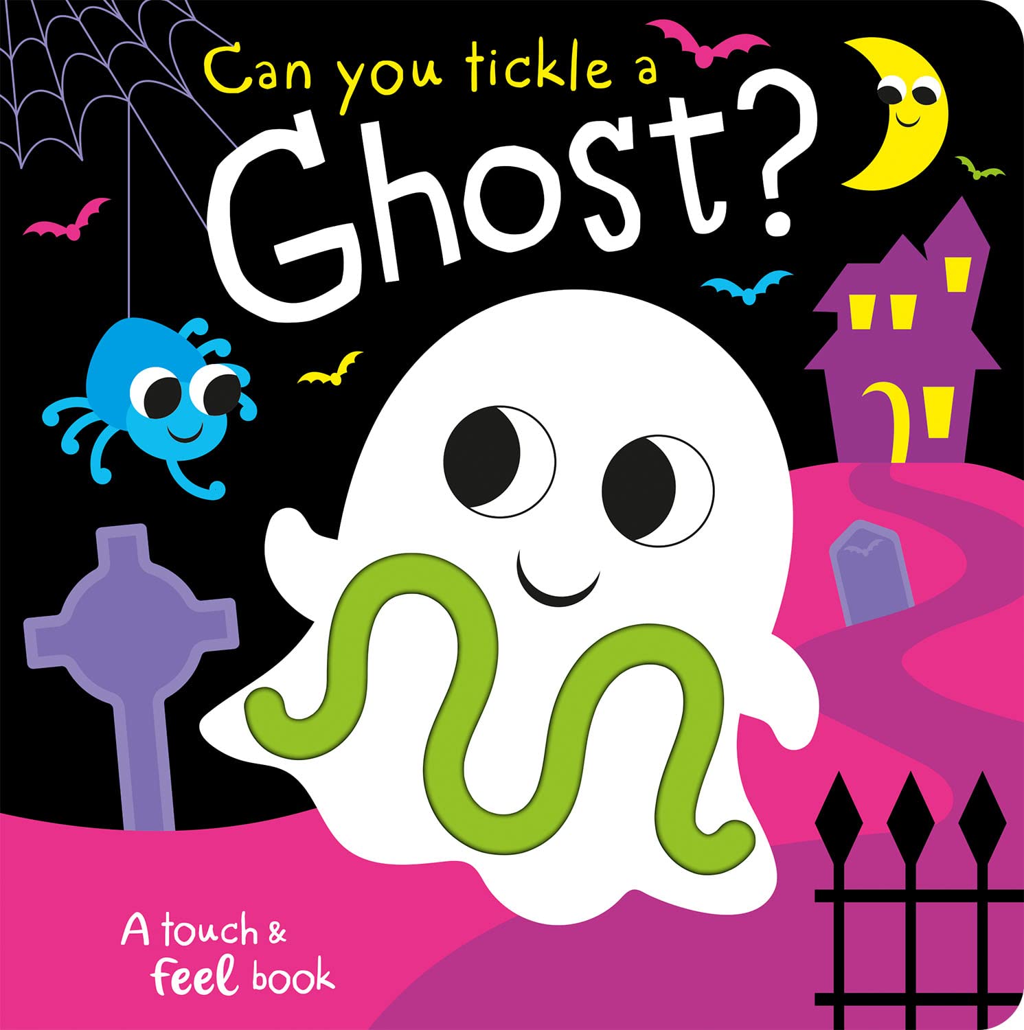 Can you tickle a ghost? (Touch Feel & Tickle!) poster