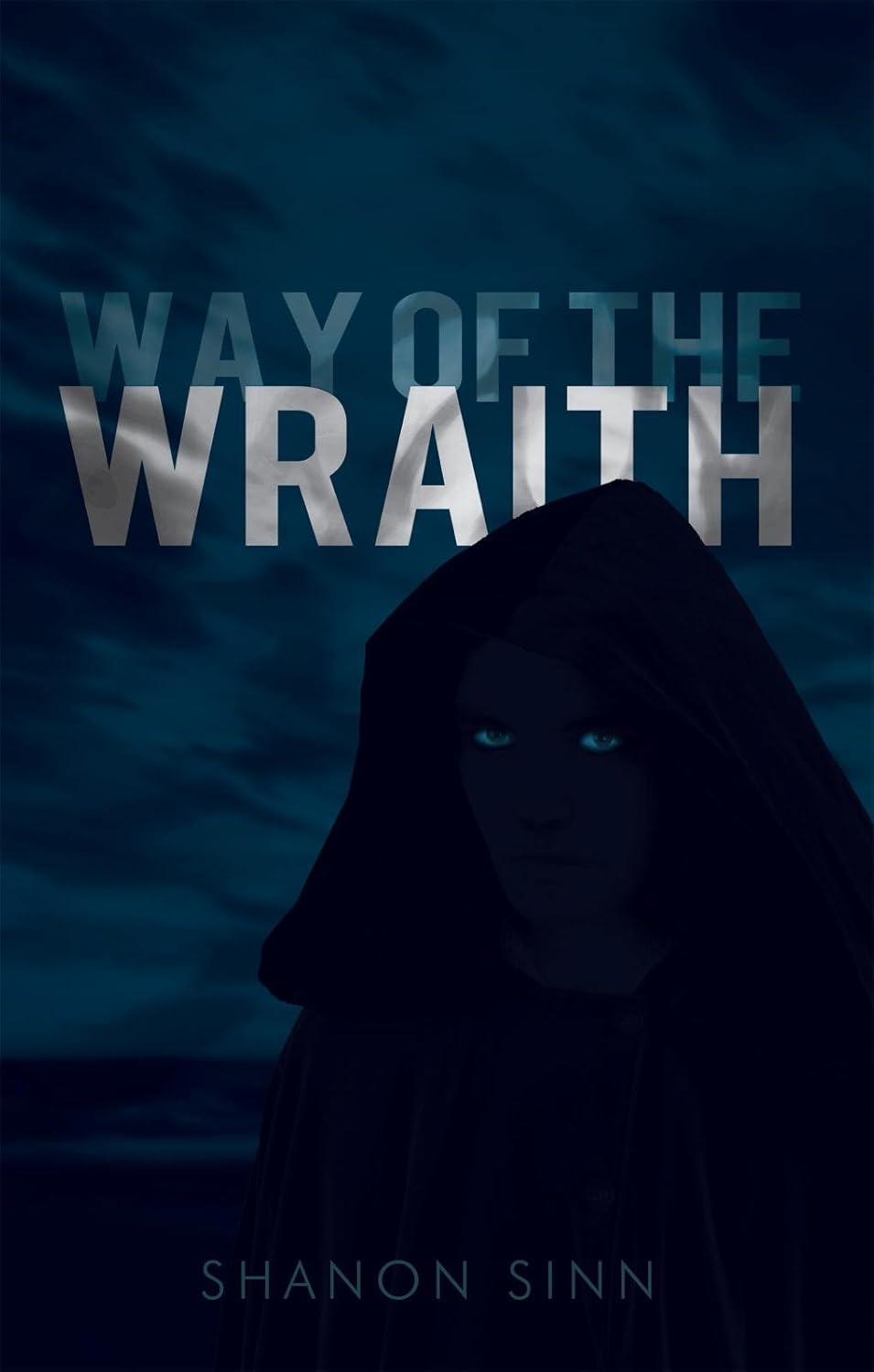 Way of the Wraith poster