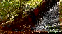 episode poster