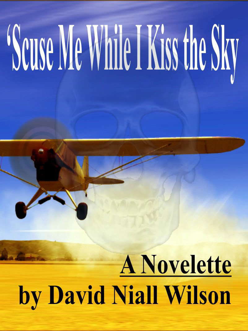 'Scuse Me While I Kiss the Sky poster