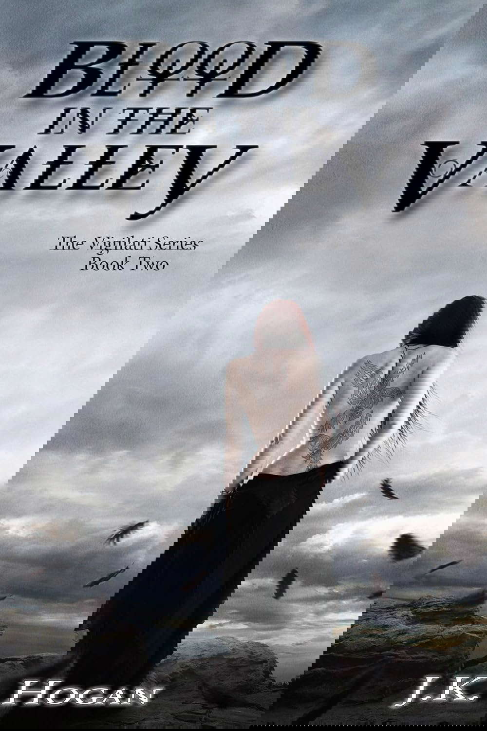 Blood In The Valley (The Vigilati Series Book 2) poster