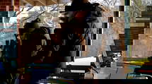 episode poster