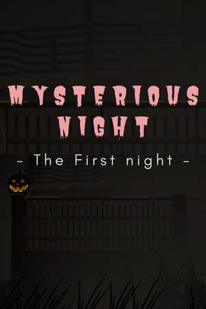 Mysterious Night (The First Night) poster