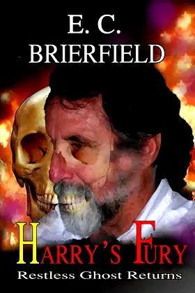 Harry's Fury poster