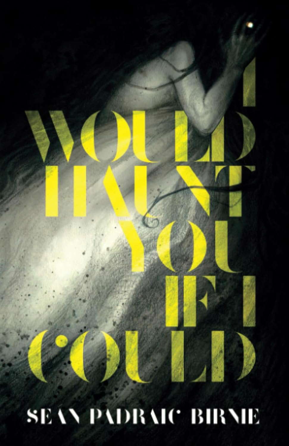 I Would Haunt You if I Could poster