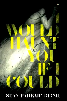 I Would Haunt You if I Could poster