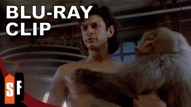 The Fly Collection - The Fly (1986) - Clip: Successful Teleportation (HD) poster