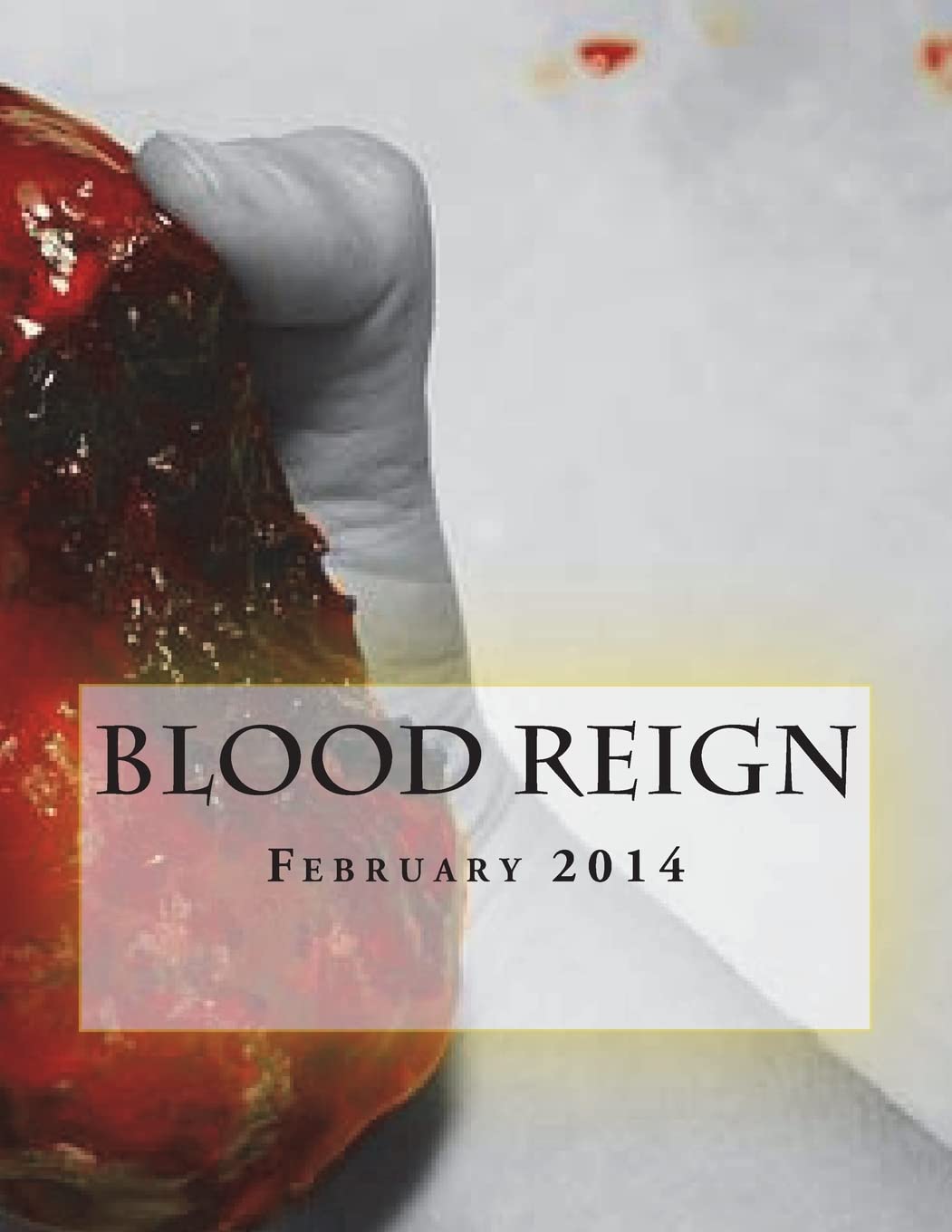 Blood Reign Lit Magazine February 2014: My Bloody Valentine poster