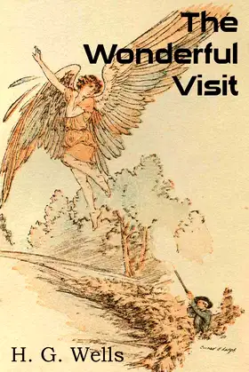 The Wonderful Visit poster
