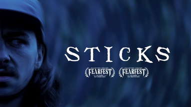 STICKS - AWARD WINNING HORROR SHORT FILM poster