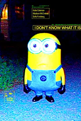 I Don't Know What It Is poster