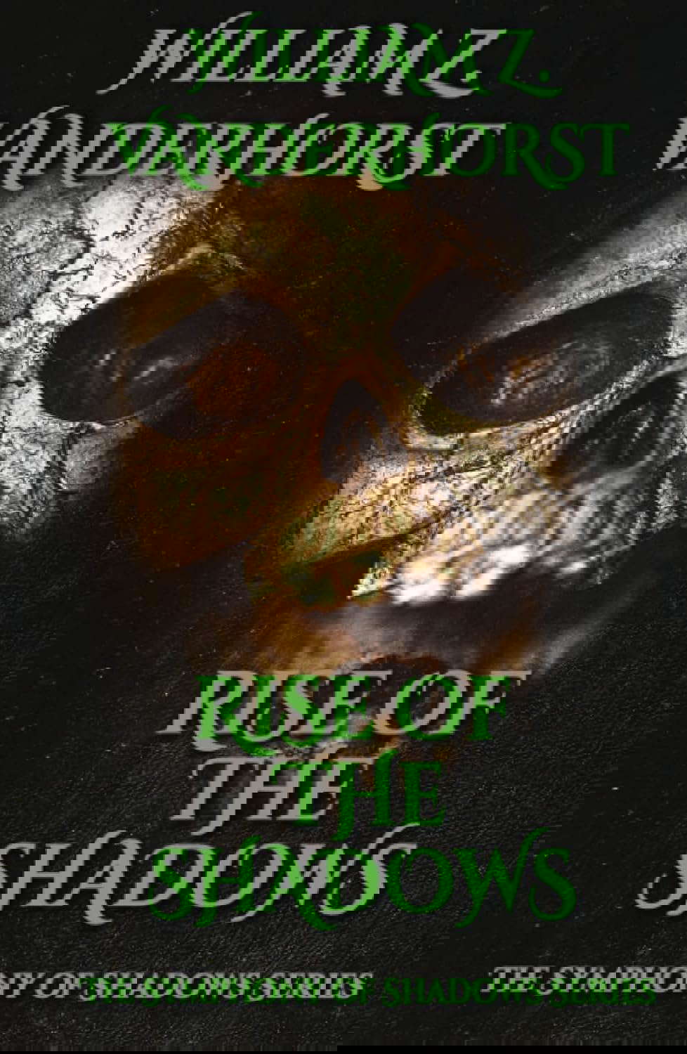Rise of the Shadows (The Symphony of Shadows Series) poster