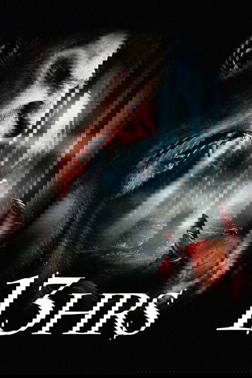 13Hrs poster